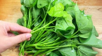 Loại rau từng là thức ăn cho lợn, nay được bán ở trời Tây giá hơn 1 triệu/kg
