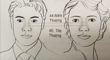 Xem vận số của những người từ 44 - 50 tuổi