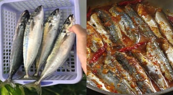 Loại cá “bình dân” mà bổ dưỡng không ngờ, giàu omega-3 hơn cả cá hồi