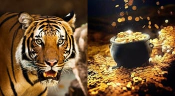 90 ngày cuối năm: 4 con giáp lên như diều gặp gió, tiền tài dư dả, vận may nối tiếp sang 2026