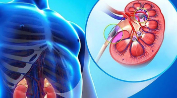 3 bí quyết dưỡng thận, thải độc hằng ngày