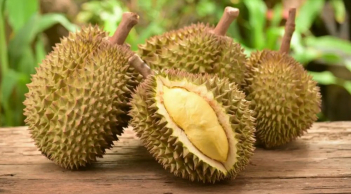Bí quyết để chọn sầu riêng ngon nằm ở việc: chọn sầu riêng cái. Vậy làm sao để chọn được sầu riêng cái?
