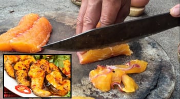 Báu vật Sông Đà: Là cá nhưng không tanh, thịt ngọt bổ ngang Sâm