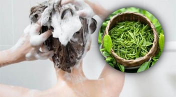 Cách gội đầu bằng lá trà xanh giúp giảm rụng tóc, làm mượt tóc
