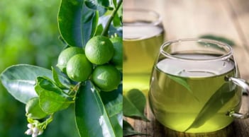 Cách dùng nước Lá Chanh: tiêu hóa tốt, thanh nhiệt thải độc lại giúp thư giãn, ngủ ngon