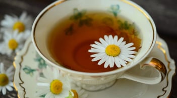 Thải độc cho cơ thể bằng trà hoa cúc