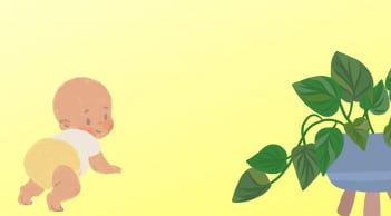 Nhà có con nhỏ, hãy cẩn trọng khi trồng 5 loại cây cảnh này