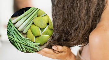 Mẹo dùng lá sả chăm sóc tóc làm sạch da đầu và giảm gàu nhanh chóng