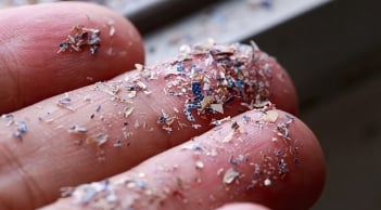 Nghiên cứu khiến thế giới giật mình: Vi nhựa có thể là 'thủ phạm' của ung thư ruột, cẩn thận khi dùng hộp nhựa
