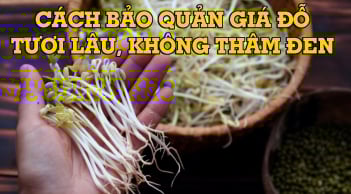 Cách bảo quản giá đồ để cả tuần vẫn mũm mĩm, không sợ thâm đen