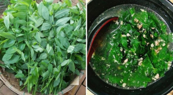 Tài sao bạn nên vò rau ngót trước khi nấu?