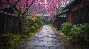 Tổ Tiên dặn: “Có ba con đường không nên đi”, là 3 đường nào?