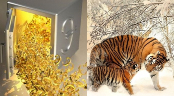 Tích tụ 3 năm: 3 con giáp này sẽ giàu sụ trong 90 ngày tới, tiền đẻ ra tiền, phúc lộc đủ đầy
