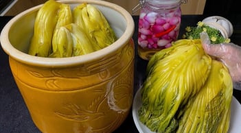 Tại sao dưa muối tự làm hay bị khú?