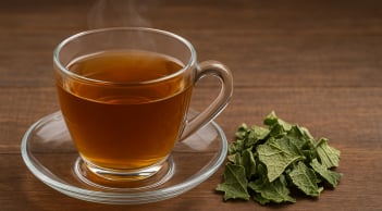 Lá mướp tưởng đồ bỏ, ai ngờ là ‘thần dược’ cho gan, sáng mắt, đẹp da
