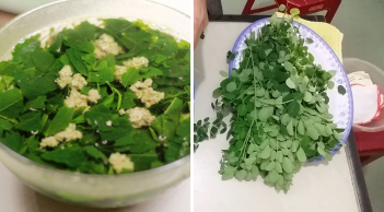 Loại rau chứa canxi gấp 4 lần sữa, vitamin C gấp 7 lần cam: Việt Nam có đầy, nhiều người không biết mà ăn