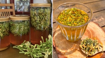 Thời điểm tốt nhất để uống hoa đu đủ đực ngâm mật ong