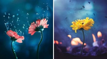 3 Tháng sinh Âm lịch vượng mệnh: Trời ban phúc khí, phúc lộc theo cả đời