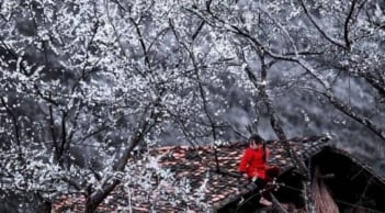 Mùa đông có lạnh hay không phụ thuộc vào ngày đầu tháng 9 âm lịch - Vì sao lại như vậy?