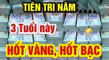 Qua đêm nay vận mệnh sáng bừng, 3 con giáp sau tiền rải khắp nhà, vàng chất đầy két