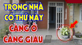 3 dấu hiệu nhà bạn sắp có Hỷ Sự: Càng ở càng giàu có