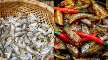 Cá lòng tong, món nhà nghèo một thời, nay thành đặc sản “đắt đỏ” hiếm có ở miền Tây