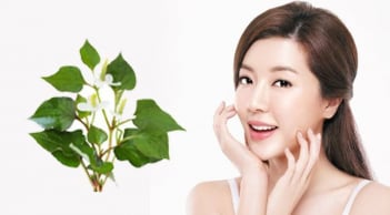 Món rau dân dã nhưng lại có khả năng bảo vệ da tự nhiên đáng kinh ngạc