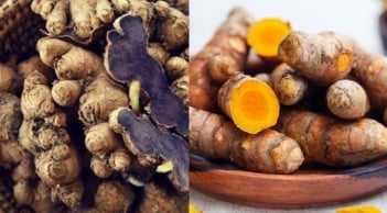 Nghệ đen và nghệ vàng loại nào tốt hơn?