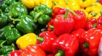 Ớt chuông xanh, đỏ, vàng hay cam tốt nhất cho sức khỏe? Bác sĩ giải đáp cách chọn đúng lợi đủ đường