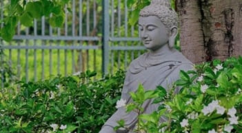 Phật dạy, có 3 điều không nên Cười trong cuộc sống, cười không đúng lúc, đúng chỗ sẽ mang họa vào thân