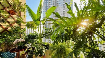 5 thứ không nên để ở ban công, kẻo dễ ảnh hưởng đến tài vận và sự nghiệp của gia chủ