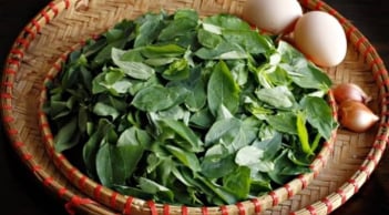 Loại rau quen thuộc trong vườn nhà Việt vượt mặt thịt bò: Giàu sắt bậc nhất, giúp hạ huyết áp, giải độc cơ thể