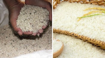 Người xưa dặn không sai: Gạo cất ở 5 nơi, cả gia đình mắc bệnh - Rất nhiều nhà phạm phải