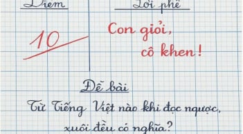 Từ nào trong Tiếng Việt khi đọc ngược, xuôi đều có nghĩa?