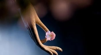 Nếu bạn phỉ báng 4 loại người này, bạn sẽ làm hao tổn phước báu của bản thân nhanh chóng