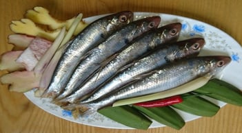 7 loại cá giàu dinh dưỡng, càng ăn càng tăng tuổi thọ