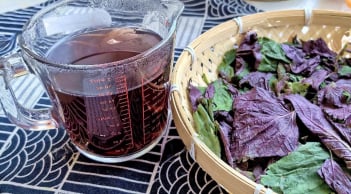 Cách uống nước tía tô đậu đen giảm cân, đẹp da, thải độc gan