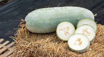 Bí đao (bí xanh) ngon bổ, lành tính nhưng không tốt cho 5 nhóm người này