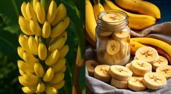 Ăn chuối vào buổi sáng nhận 5 lợi ích bất ngờ