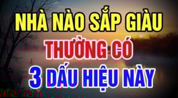 Nhà có 3 điềm báo này: Gia chủ sắp Trúng Số giàu to