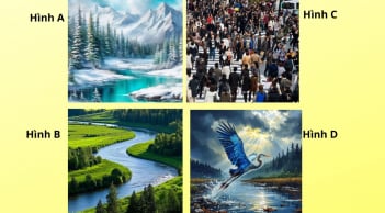 Chọn 1 trong 4 hình ảnh sau để khám phá bí mật tính cách của bạn độc lập hay dễ bị dụ dỗ?