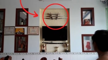 Ngoài sân không nên trồng 3 loại cây, vào nhà tránh treo 3 vật: bí quyết phong thủy gia chủ cần biết