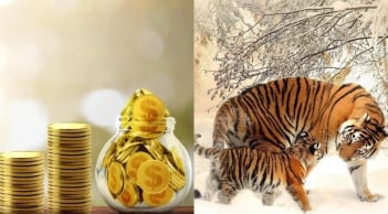 20 ngày tới (16/11-5/12): 3 con giáp hưởng vinh hoa phú quý trọn đời, tiền bạc nhân đôi, sự nghiệp bứt phá