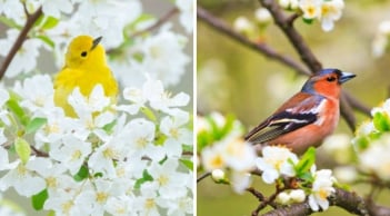 5 số cuối ngày sinh Âm lịch mang mệnh đại phúc: Càng lớn tuổi, phúc lộc càng sâu dày