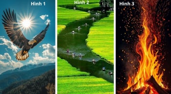 Quiz: Chọn 1 trong 3 hình ảnh để biết bạn giàu lên nhờ có tố chất lãnh đạo hay là nhân viên giỏi?