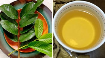 Cách uống nước lá ổi giảm cân, giúp eo thon gọn