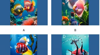 Quizz: Bạn sẽ gặt hái thành tựu lớn nào trong năm nay?