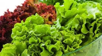 3 loại rau dễ “ngậm” hóa chất và chứa nhiều ký sinh trùng nhưng người Việt vẫn ăn hằng ngày