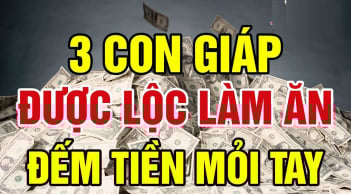 Buôn Bán Gặp Thời, 3 con giáp Tiền đổ về như thác từ năm 2026