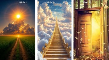 Quiz: Chọn 1 trong 3 hình ảnh cho biết bạn đã thực sự đủ quyết tâm và nỗ lực hết sức để làm giàu